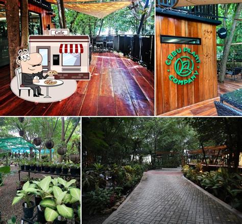lapu lapu breweries|Nimo Brew cafe, Lapu.